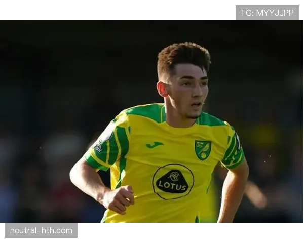 诺维奇金丝雀重生 诺维奇金丝雀重生